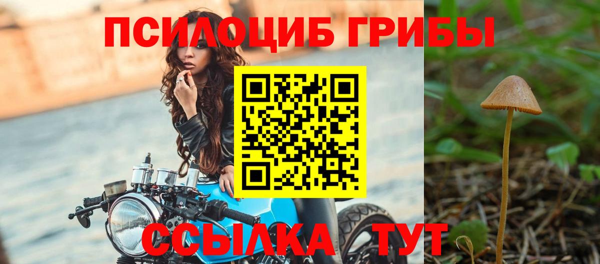 Псилоцибиновые грибы Psilocybine cubensis Рязань